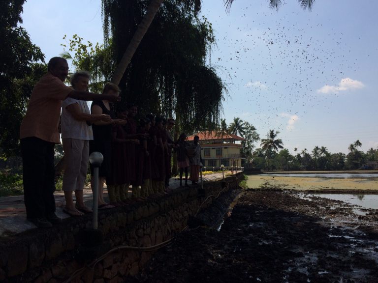 16_Traditional rice planting ritual with guests